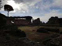 Roma-M56