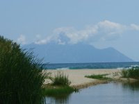 Sarti012