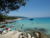 Sarti118