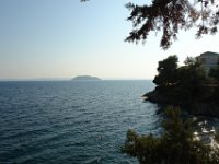 Sarti146